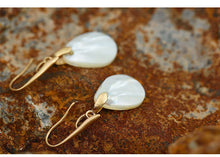 Natural Shell Dangle Earrings